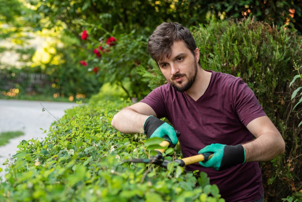 Gardener trimming hedges as part of professional landscaping design in Cyprus.